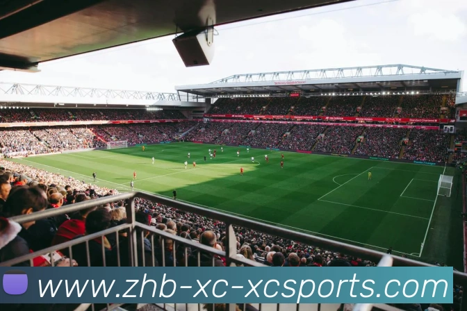 杏彩体育APP 体育赛事宣传图