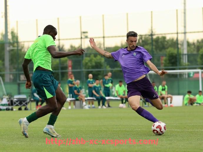 杏彩体育-德甲有“星星”标识的球队有哪些？星星数量代表含义解析