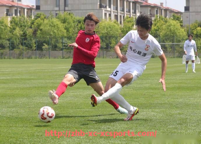 杏彩体育-英超各支球队的市值有多高？俱乐部估值排名