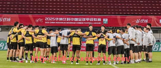 杏彩体育-英超球员薪水排行榜及体育经济分析